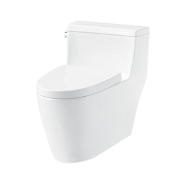 Bồn Cầu Một Khối Hafele 588.79.401