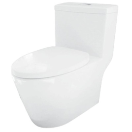 Bồn Cầu Một Khối Hafele 588.79.402