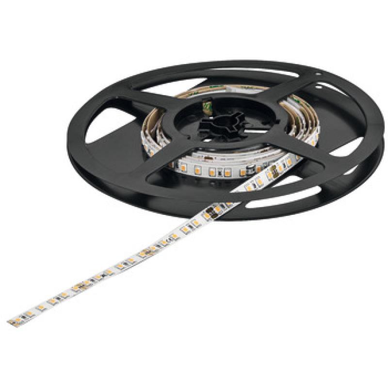Đèn Led Dây Loox5 3042 24 V 8 Mm 2-pin (đơn Sắc) Hafele 833.76.317